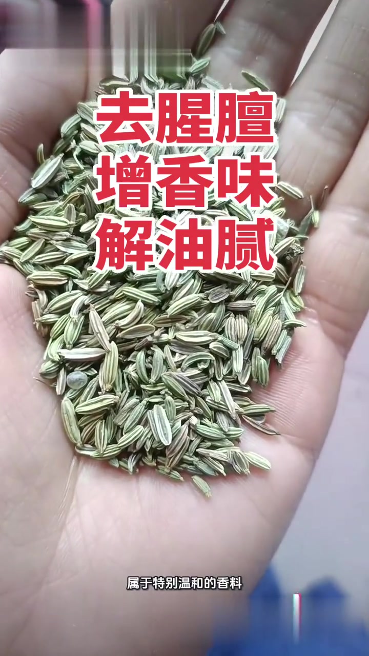 中药科普：小茴香的功效与作用