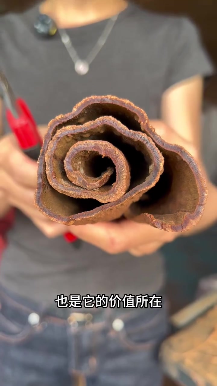 紫油桂、肉桂与普通桂皮，区别在哪