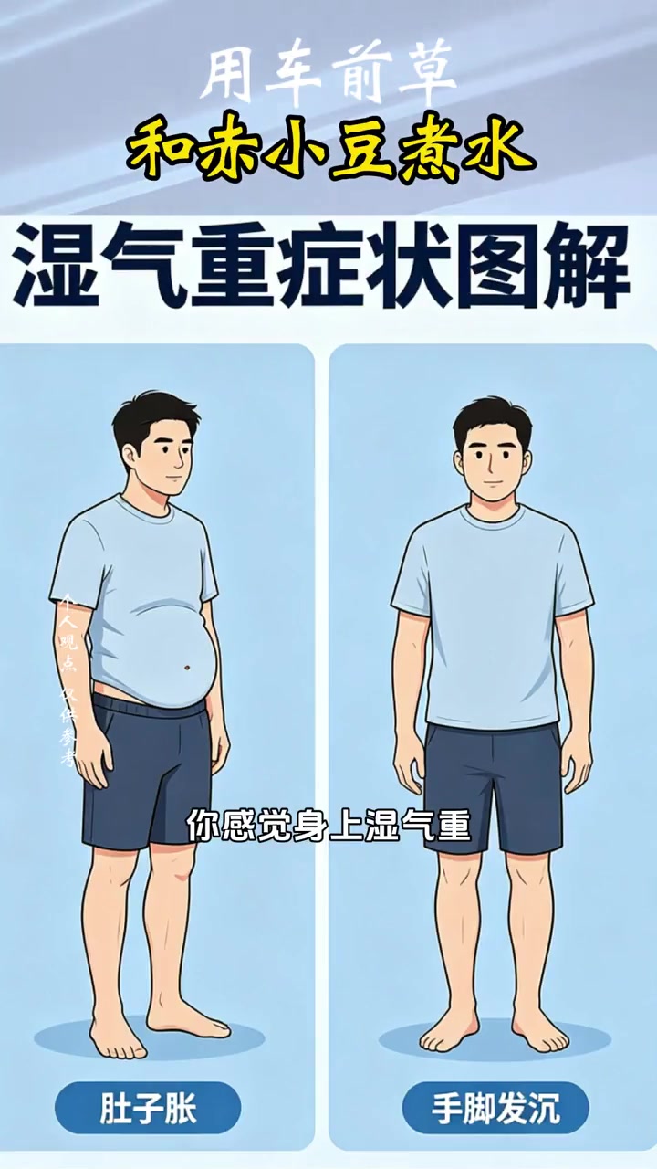 中医养生：车前草与赤小豆煮水的功效
