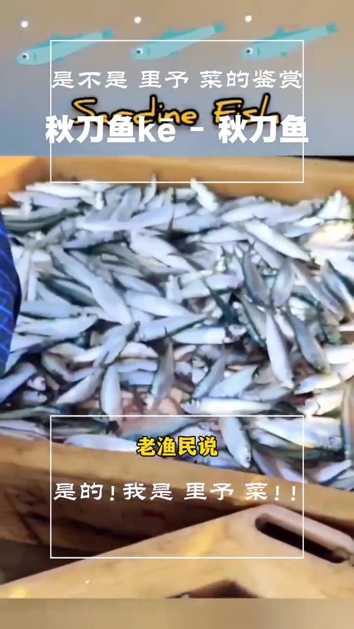 健康提醒：秋刀鱼高油脂，烧烤最健康