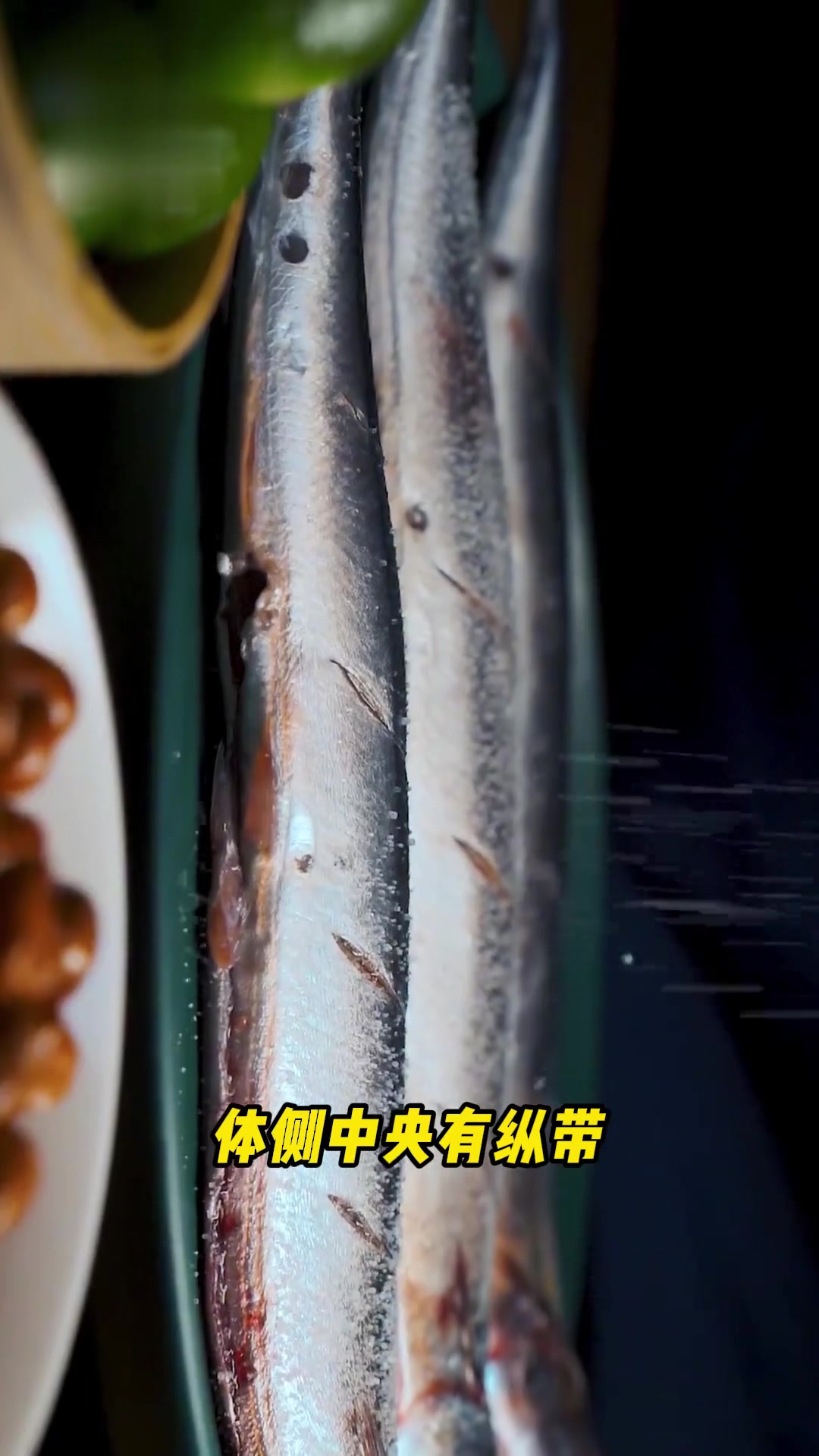 秋刀鱼的滋味：动物科普
