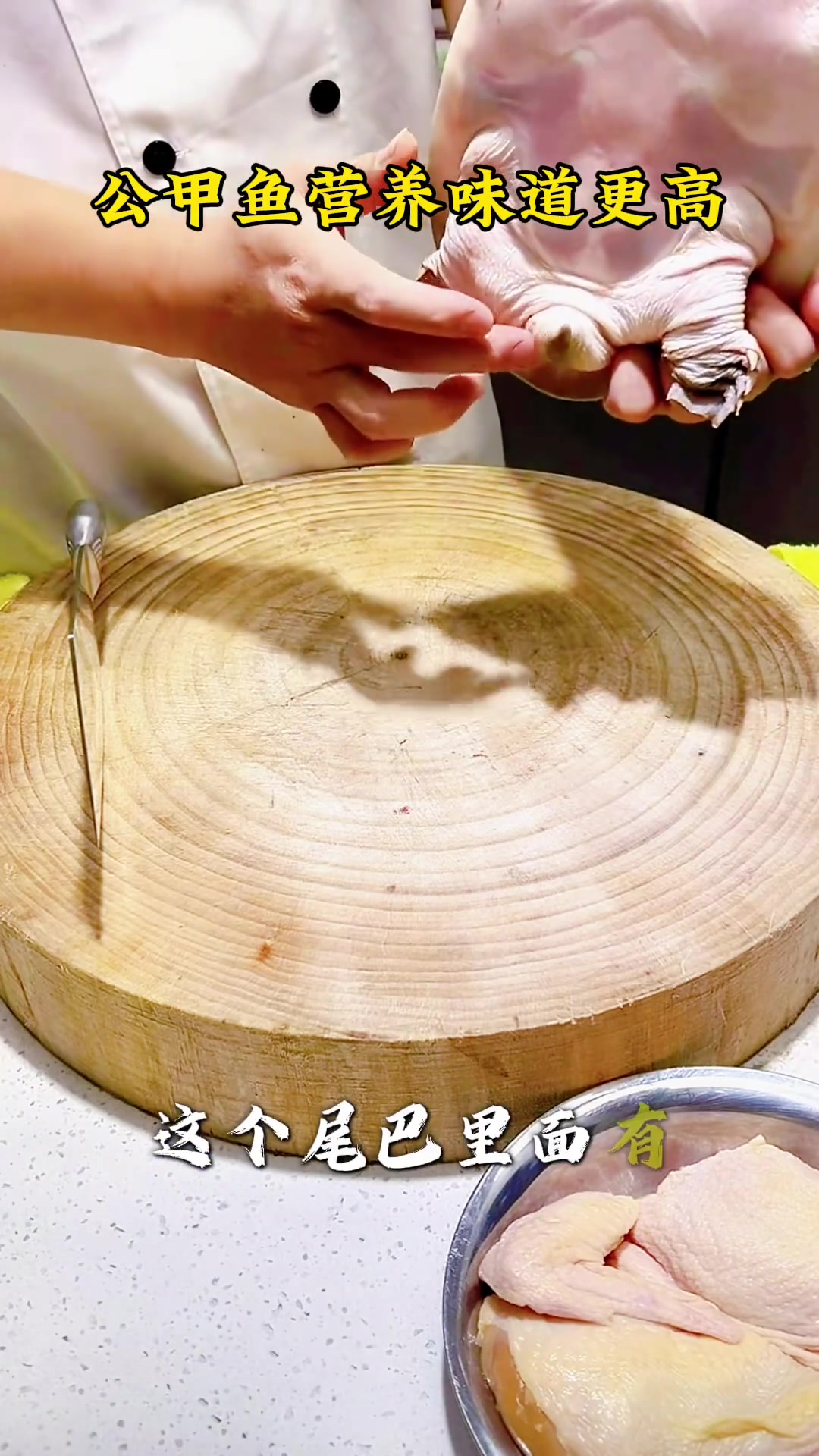 公甲鱼营养高味道好，三个原因教你快速分辨公母