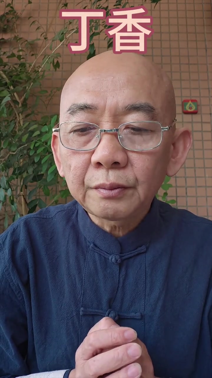 丁香的功效与作用