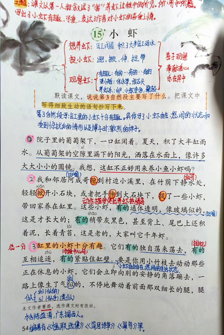 三年级下册语文15小虾