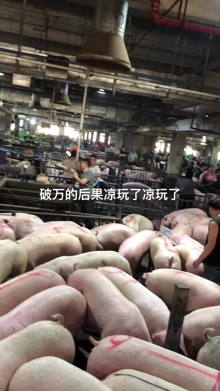 这东西价格比青菜还要便宜