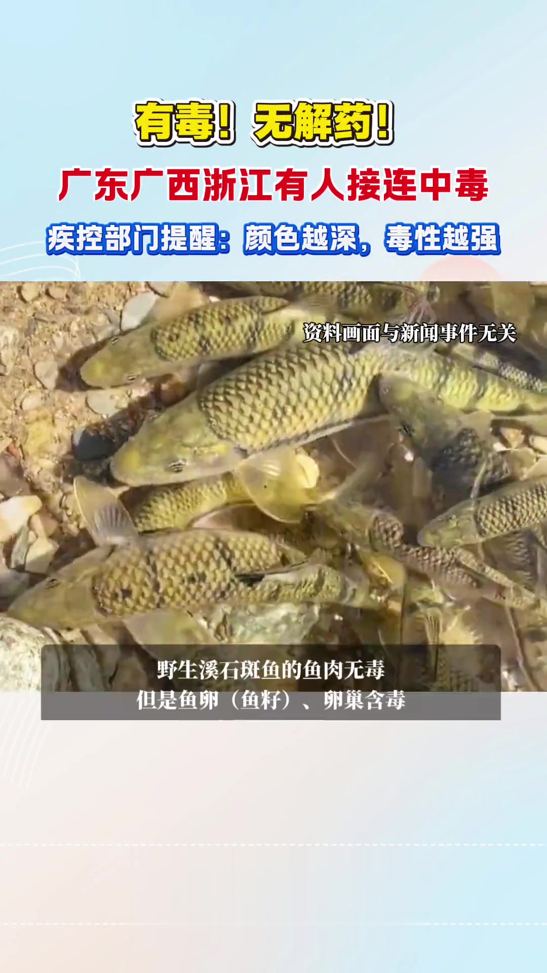 健康提醒：男子吃野生溪石斑鱼籽中毒尚无解药，这种鱼卵有毒，切勿食用#健康追热季#