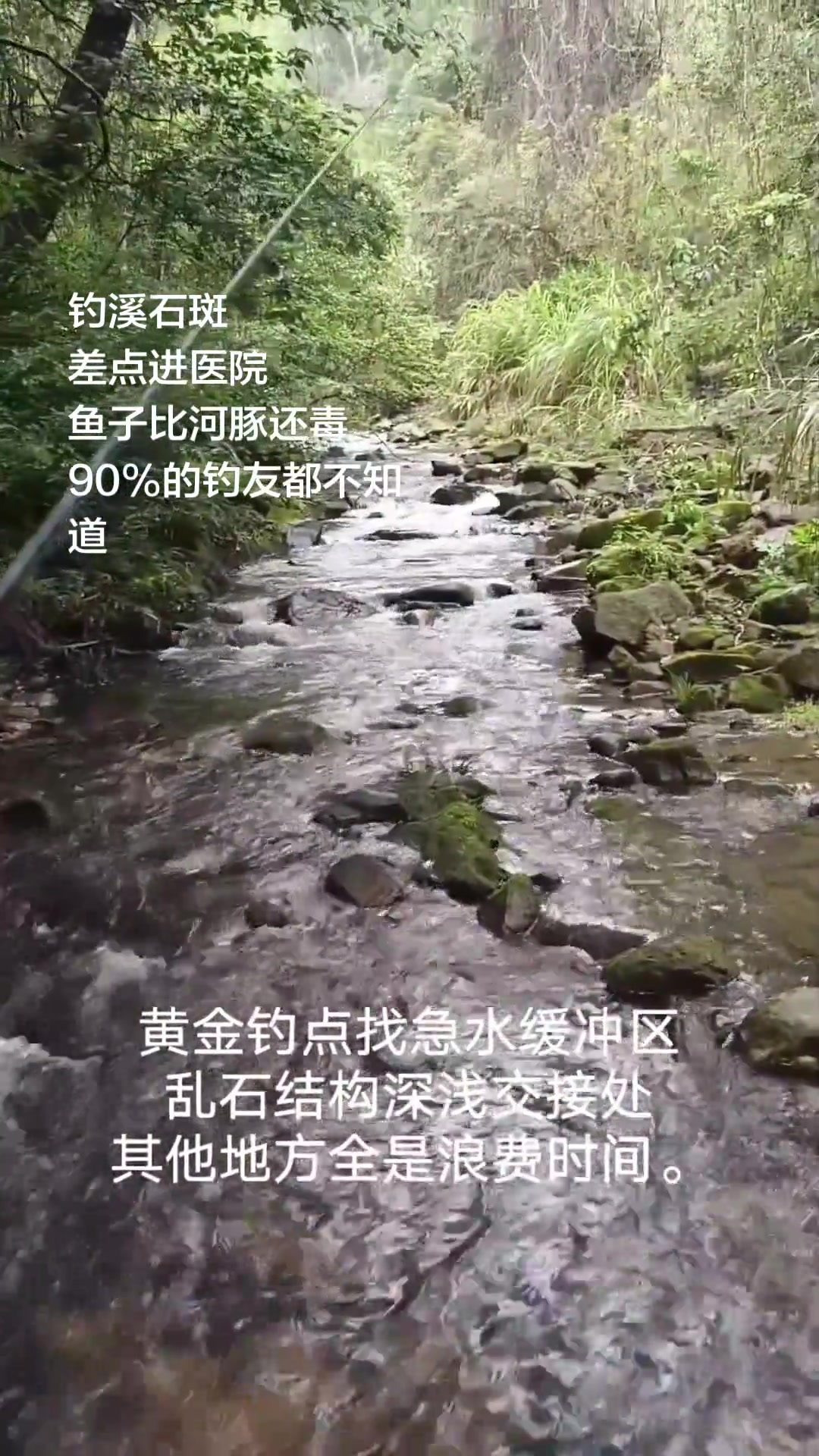 健康提醒：男子吃野生溪石斑鱼籽中毒尚无解药，溪石斑鱼卵含雪卡毒素，误食可致命#健康追热季#