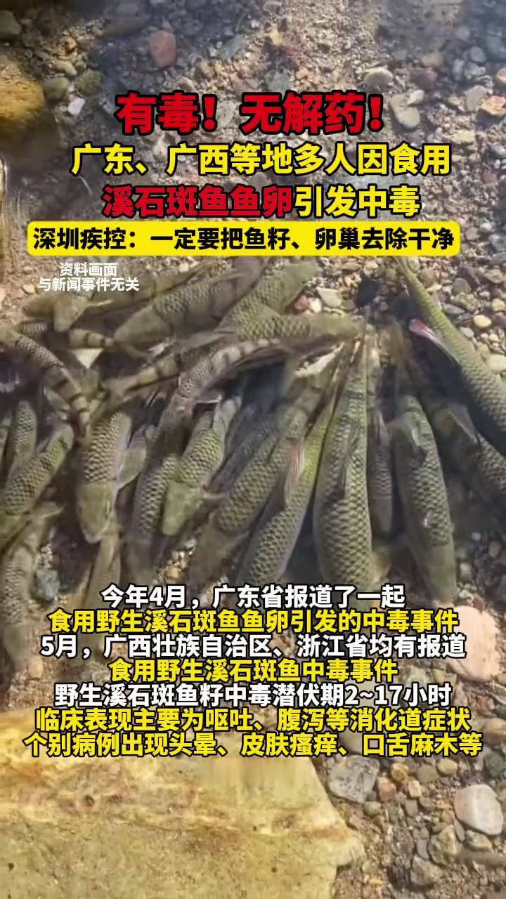 健康提醒：男子吃野生溪石斑鱼籽中毒尚无解药，食用溪石斑鱼卵有毒无解药，务必去除#健康追热季