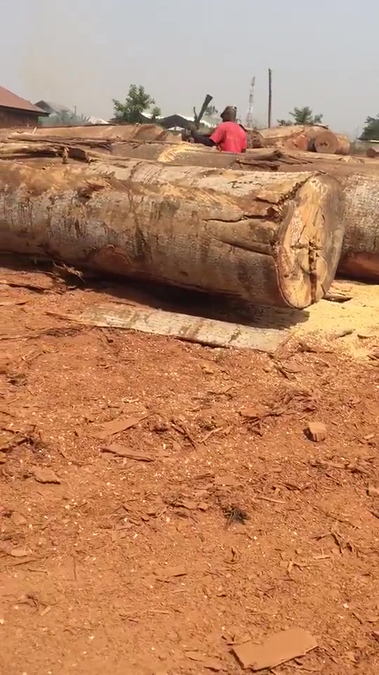 非洲的伐木工地