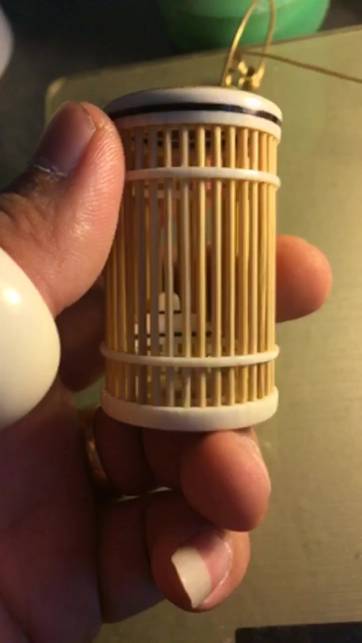 新做的小笼子养竹蛉可以嘛