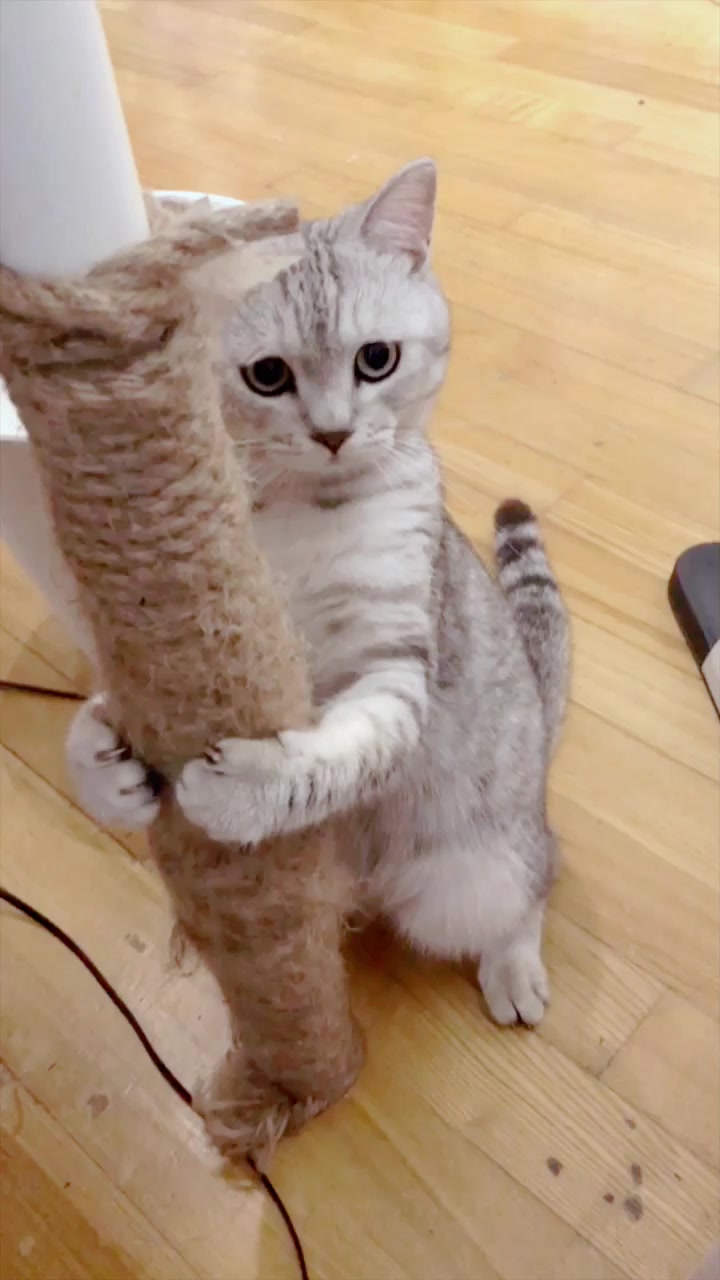 是不是这样子啊#手勾住了!是时候上下其手了hiahia