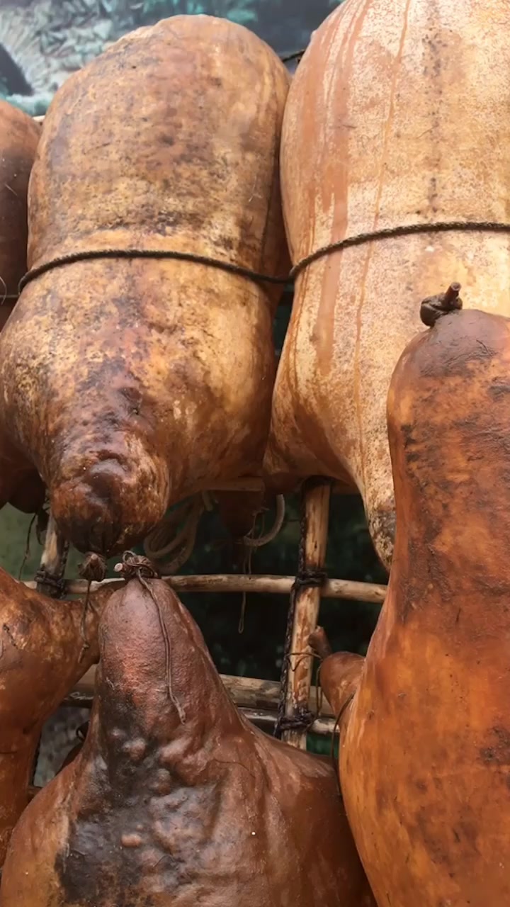 这是以前过黄河用的羊皮筏子,听说只能用公羊来做,为什么呢?