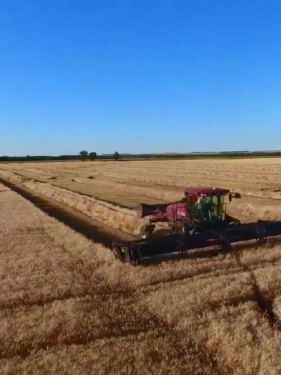恩亿农业现代化农机麦克唐割晒机世界上最好得割晒机割台都是它制造的