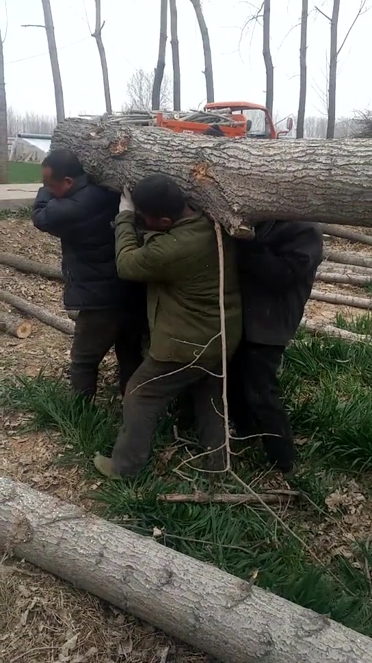 父亲肩扛一个家