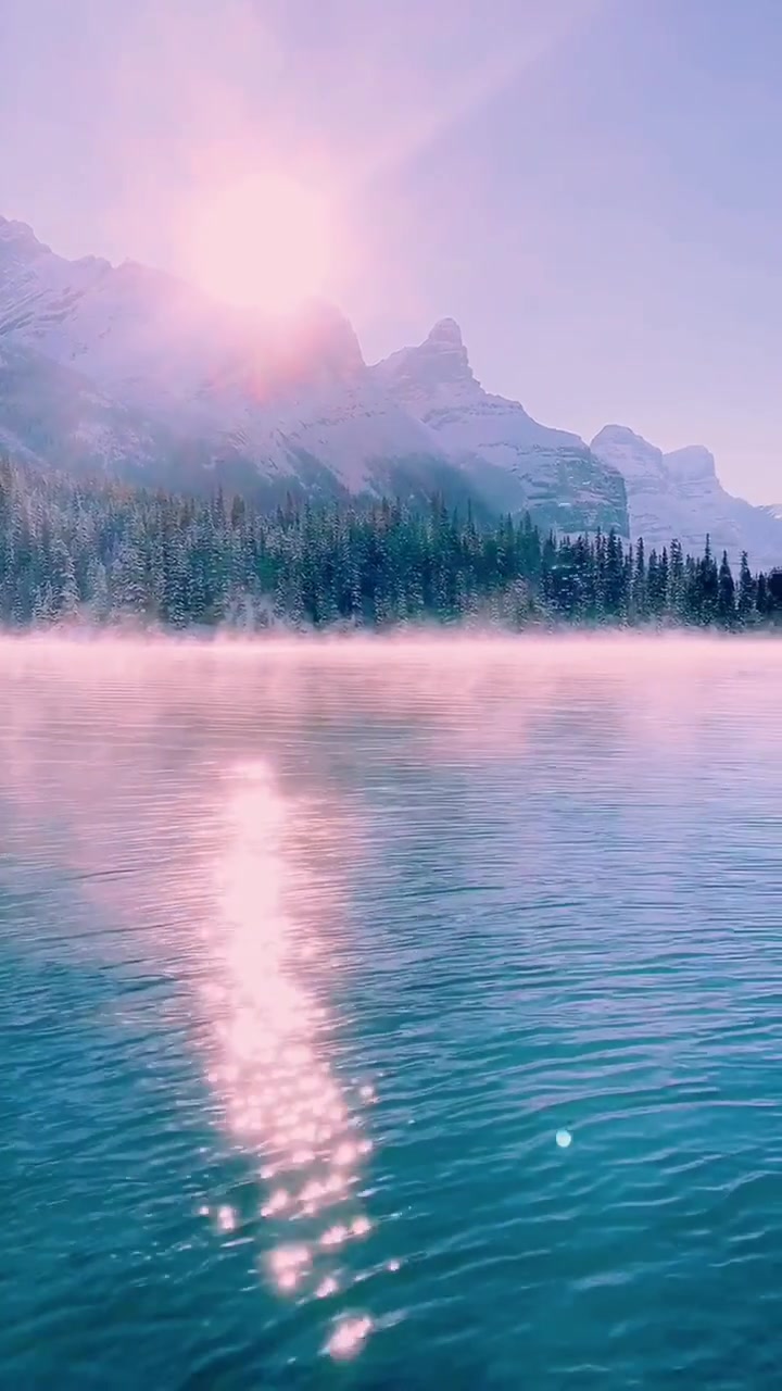 日常风景#当所有一切都已看平淡,是否有一种坚持还留在心间