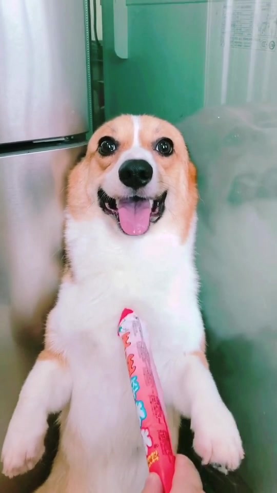 叫你吃棒棒冰,拉稀了吧