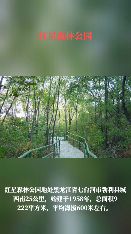 桃山公园,红星森林公园.细数黑龙江·七台河值得一游的景点-度小视