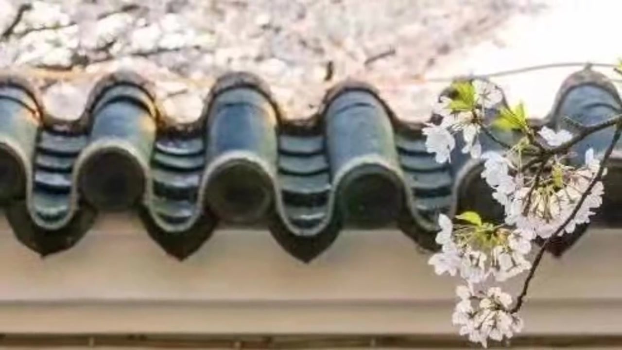 天地者 万物之逆旅 光阴者 百代之过客的意思 急求