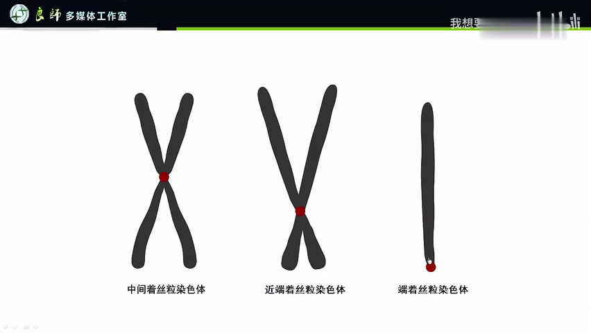百度知道