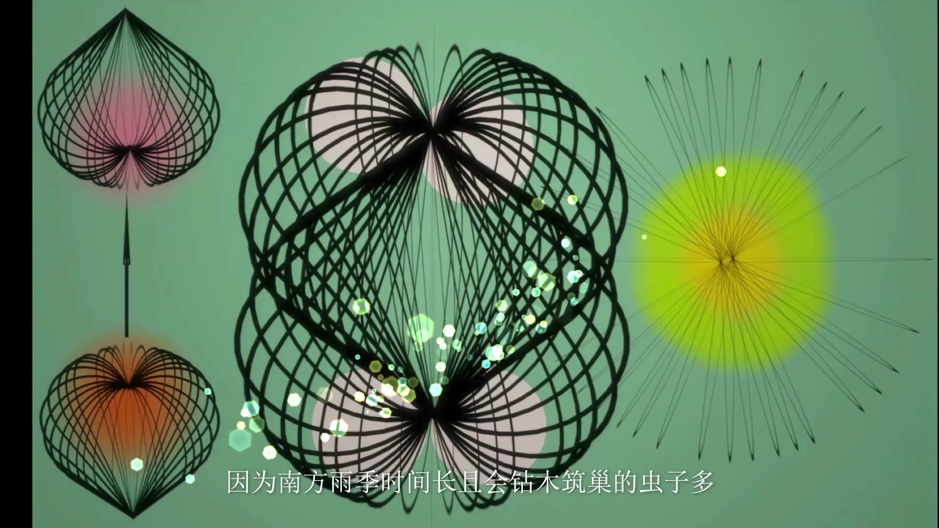 字画虫蛀要怎么办