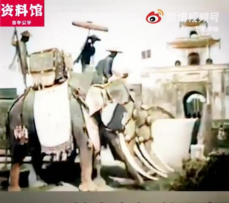 【珍贵影像】1920年， 越南阮朝第12任皇帝——启定帝。 ,历史,中国历史,好看视频