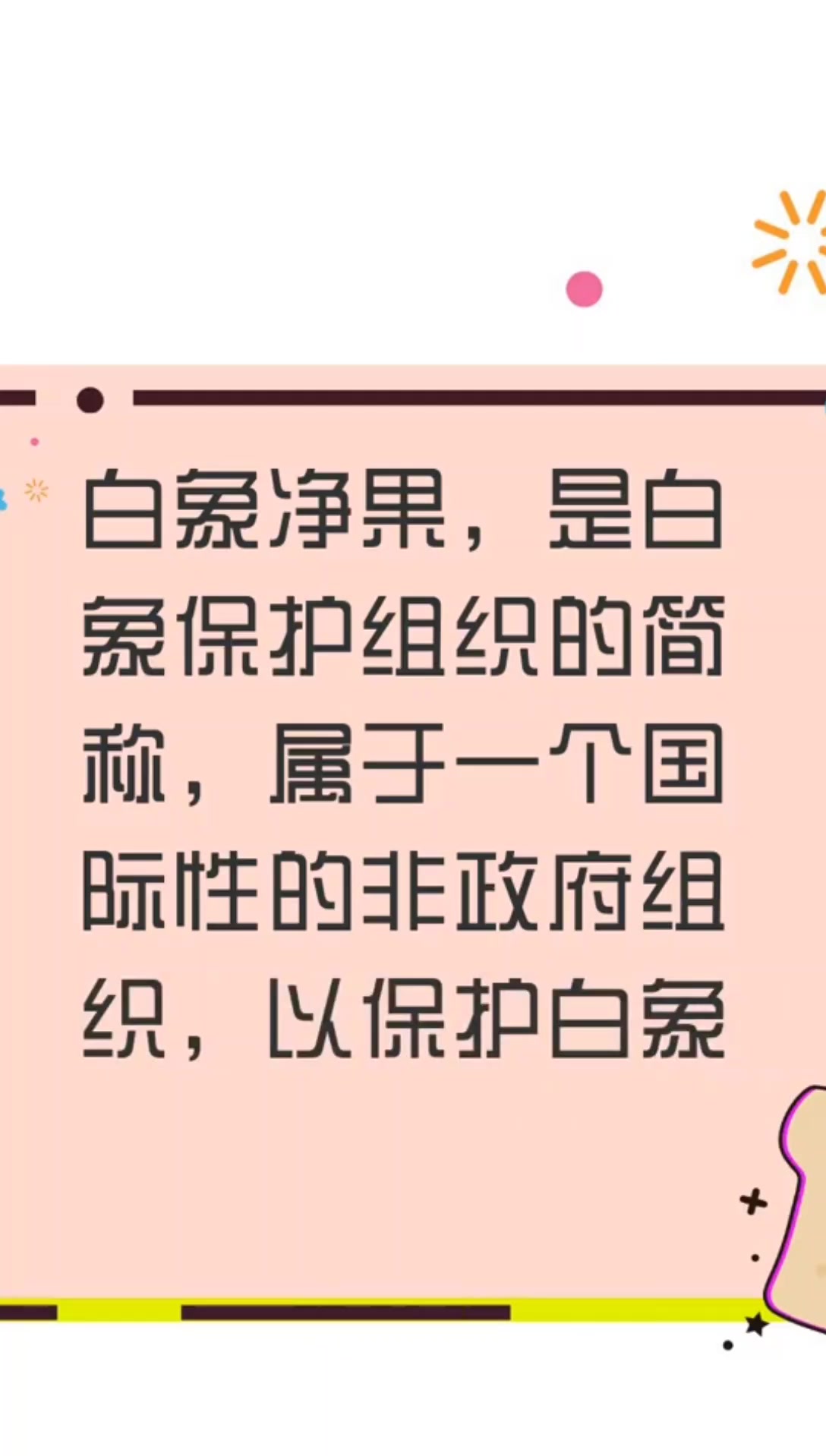 白象净果是什么?