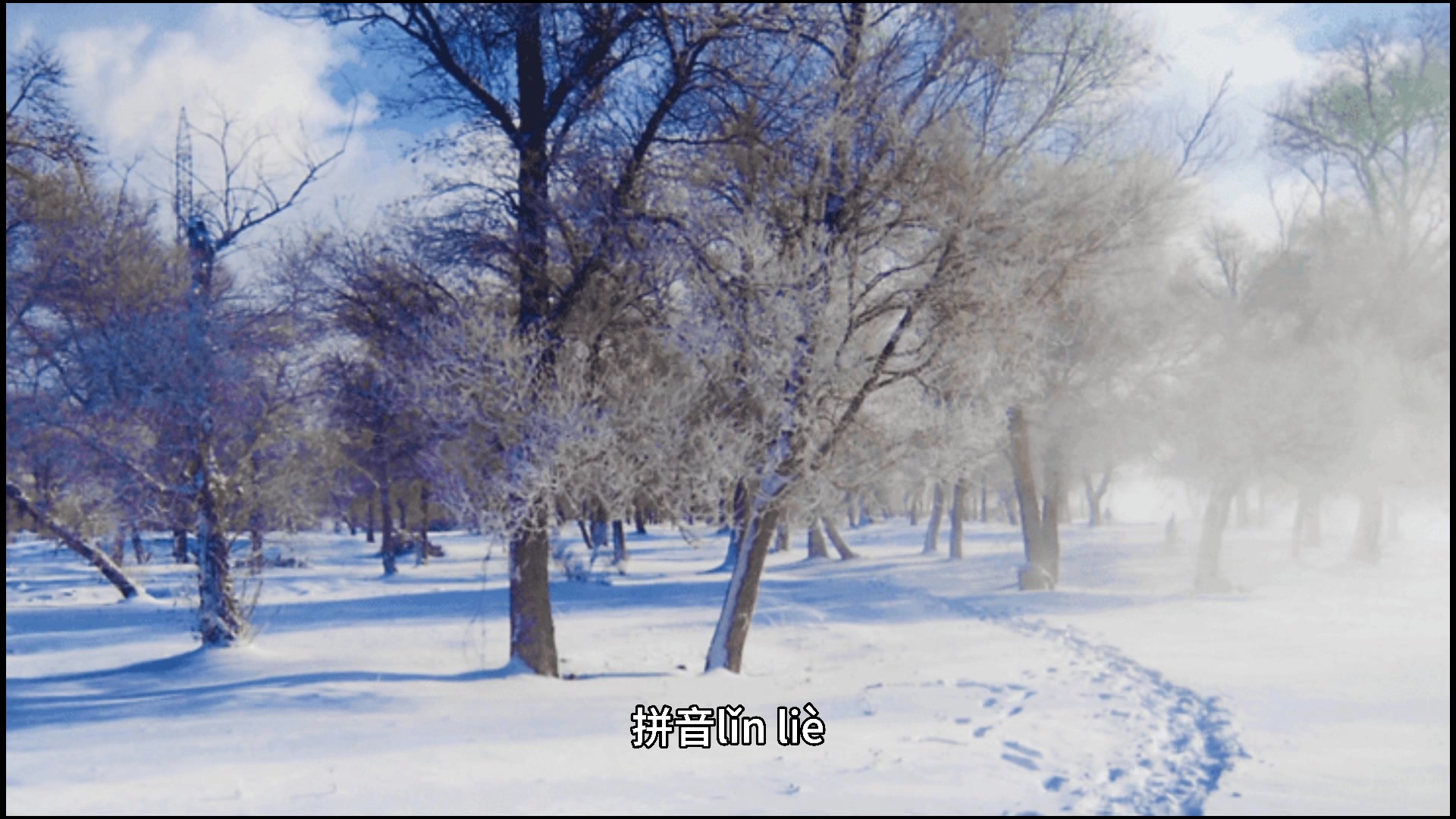 凛冽是什么意思