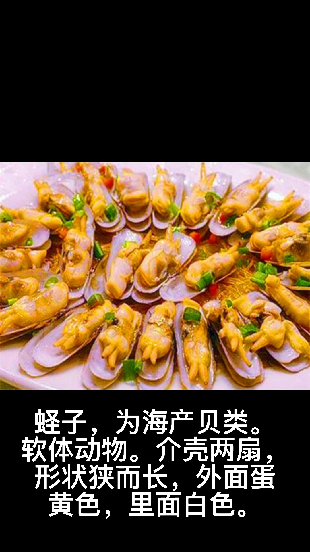 虫圣蛏子怎么读啊