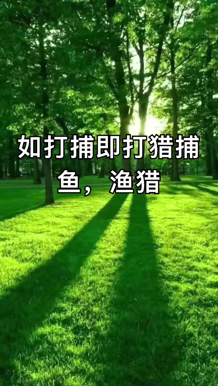 我来告诉你打鱼的打是什么意思