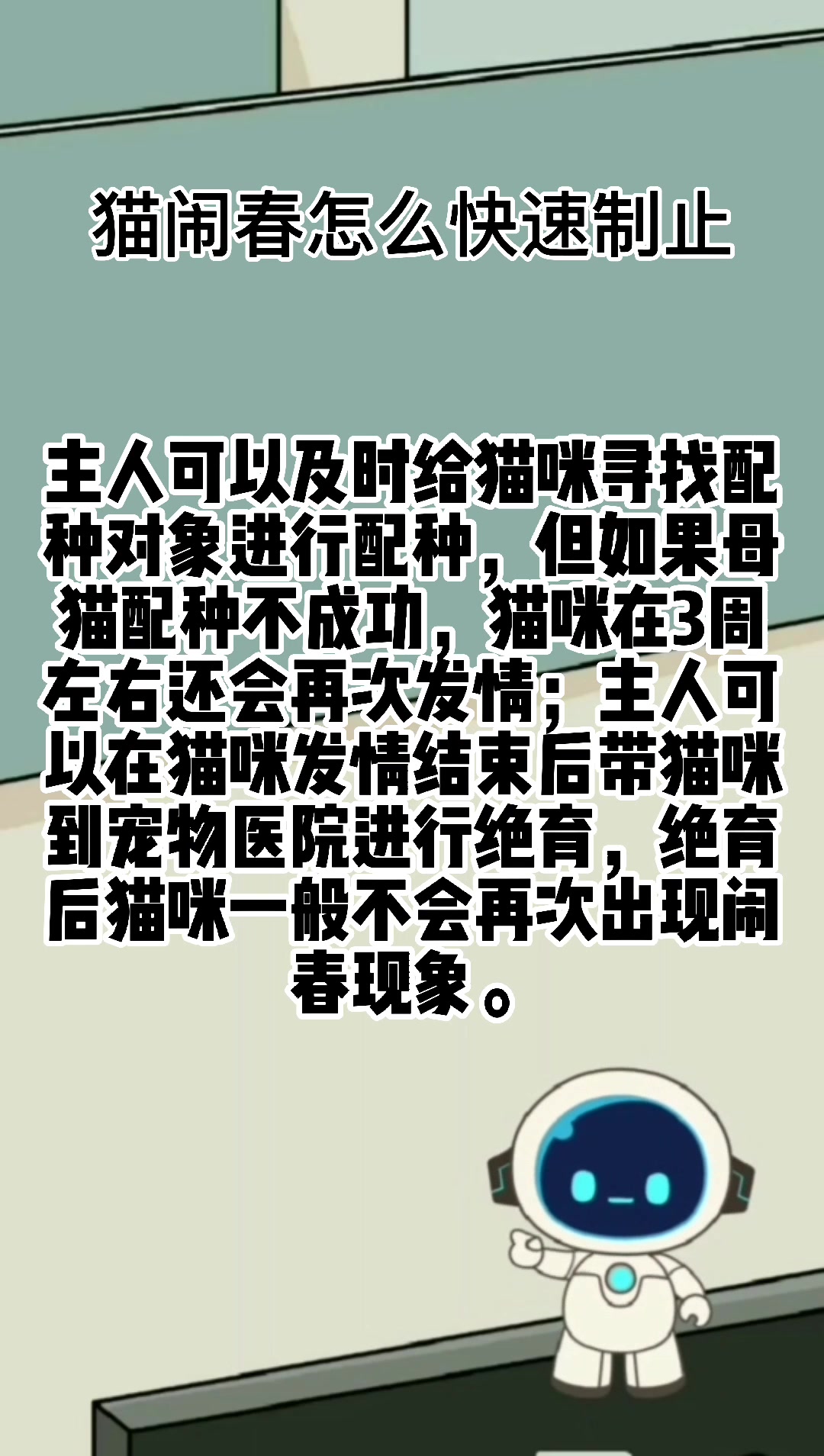 猫闹春怎么快速制止