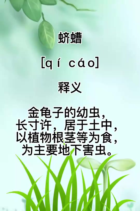 蛴螬是怎么读的呢