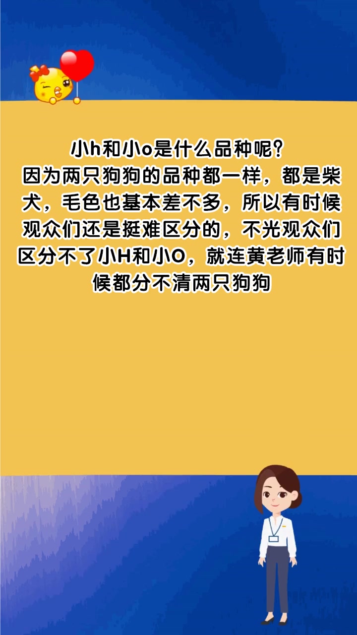 小h和小o是什么品种呢?
