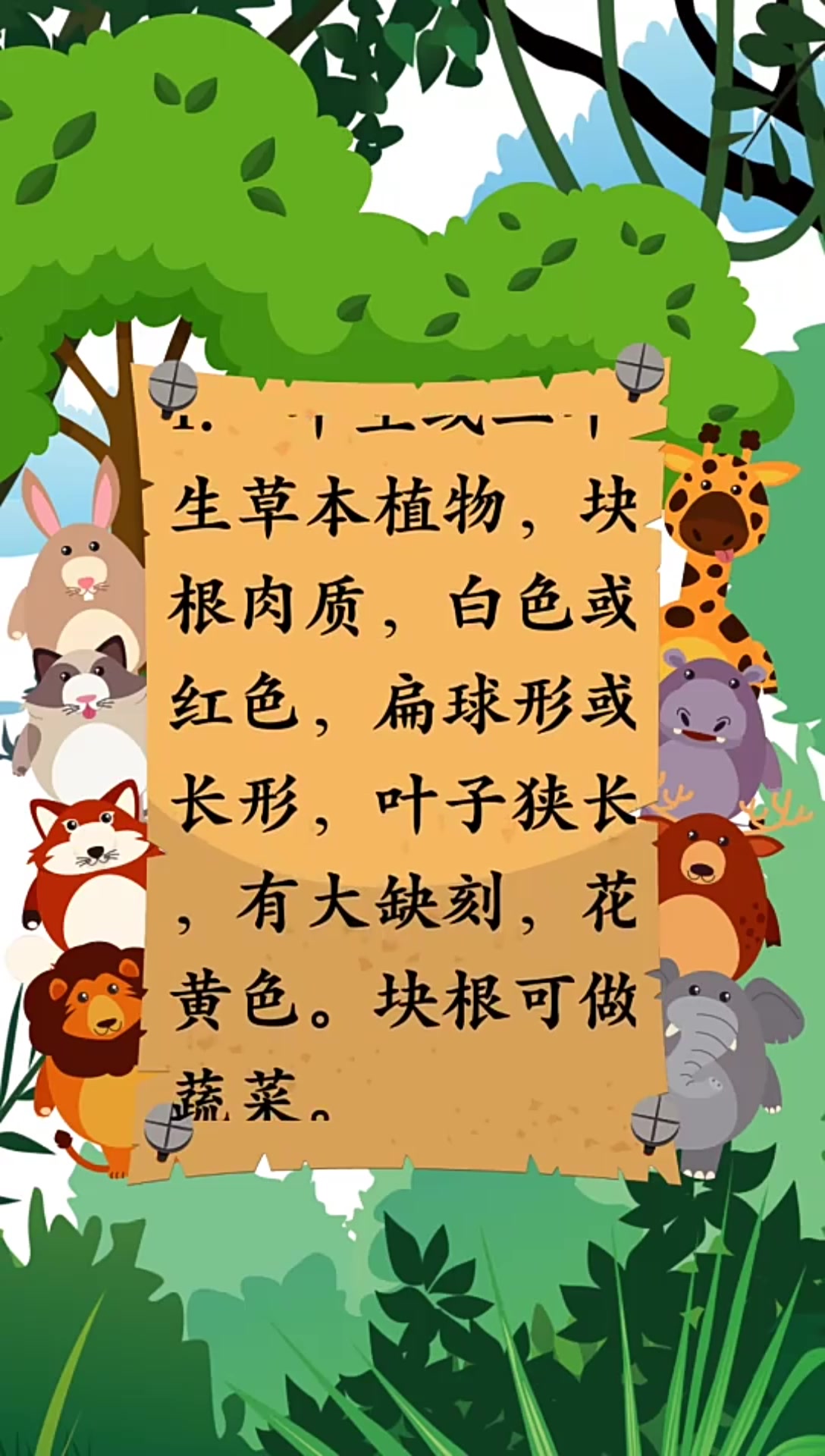 芜菁怎么读呢我来告诉你