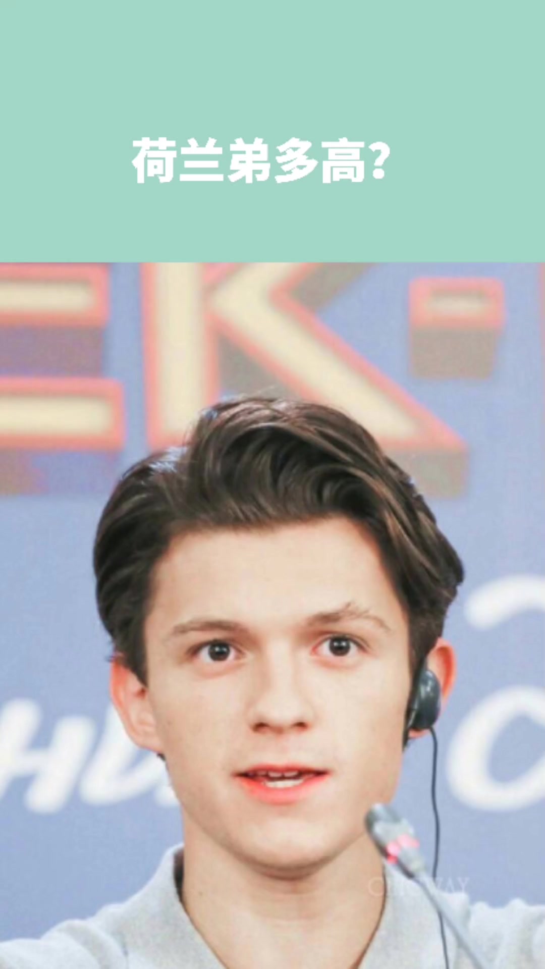 荷兰弟多高知道吗