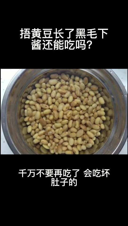 捂黄豆长了黑毛下酱还能吃吗?