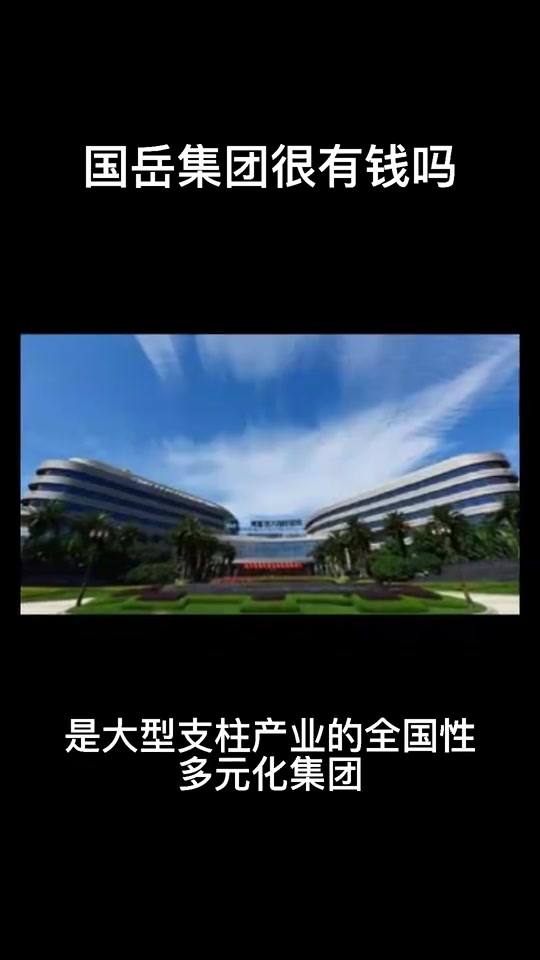 国岳集团董事长老婆是做什么的