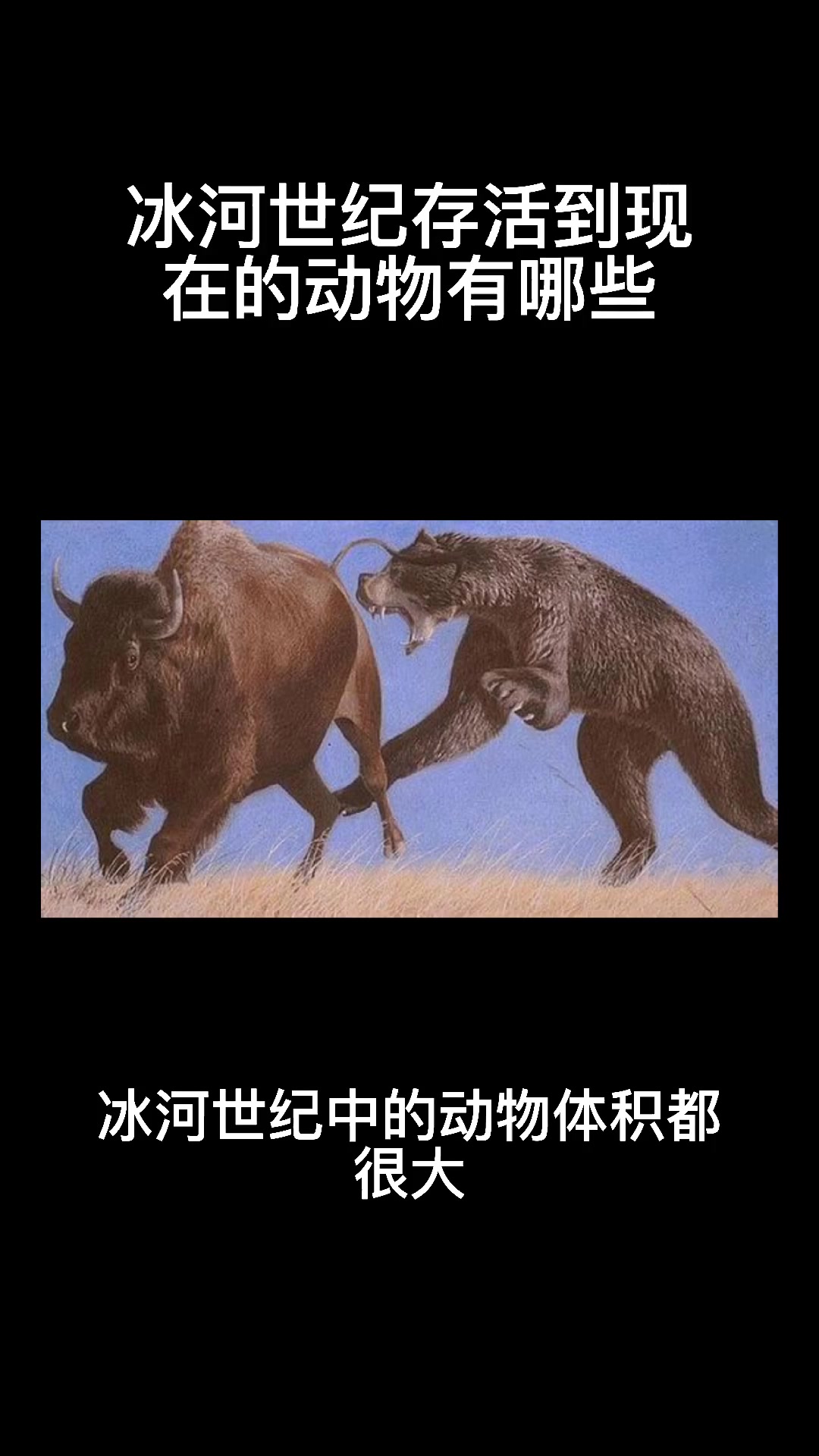 从冰河世纪存活到现在的动物有哪些