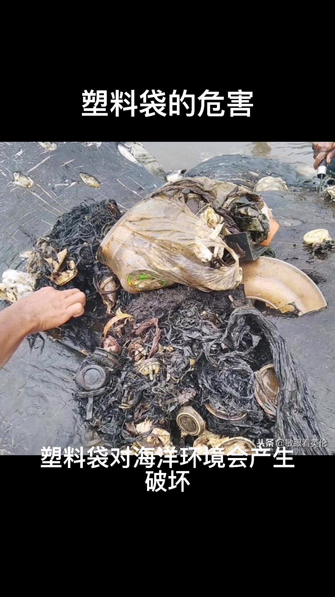 塑料袋的危害
