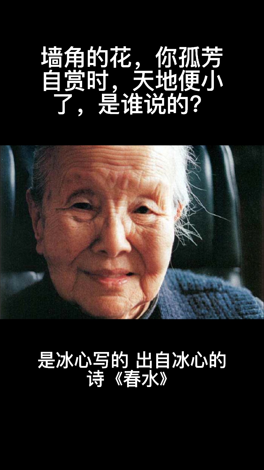 墙角的花你孤芳自赏时天地便小了是谁说的