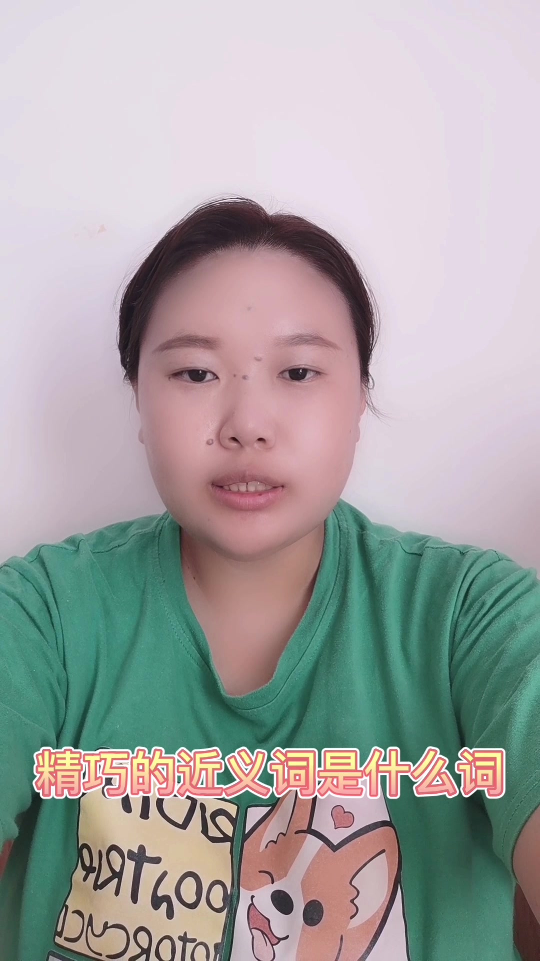 精巧的近义词是什么词