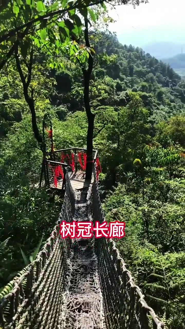 三水南丹山森林公园游玩攻略