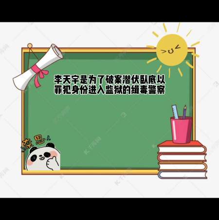 大追捕电视剧李天宇真实身份