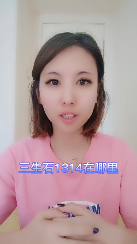 三生石1314在哪里