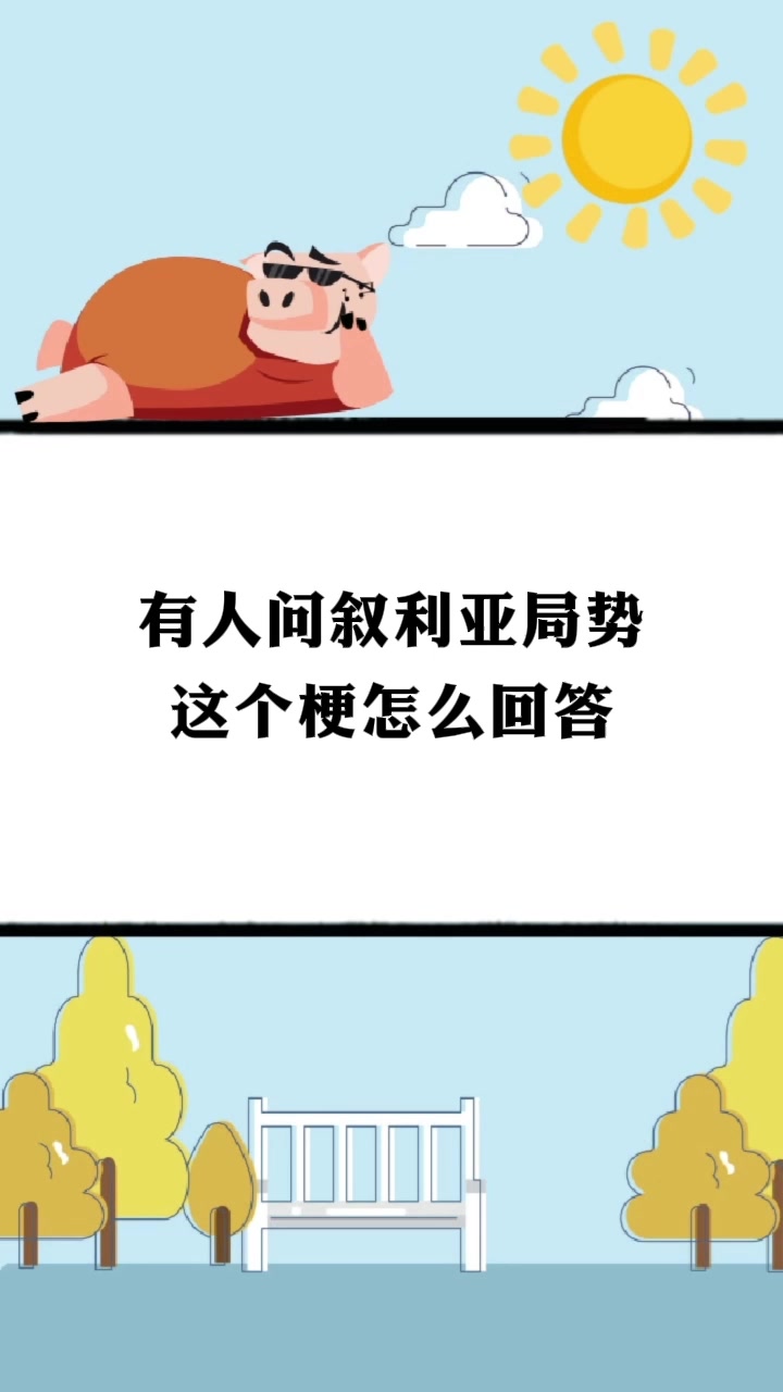 有人问叙利亚局势这个梗怎么回答