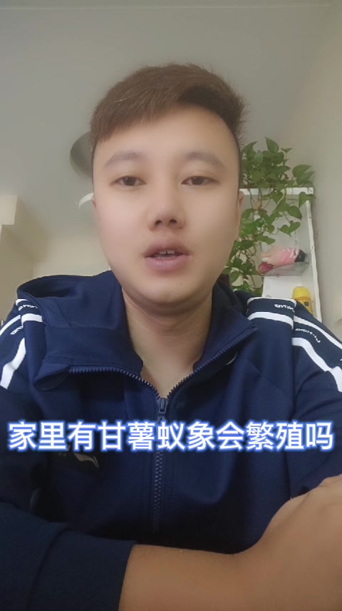 家里有甘薯蚁象会繁殖吗