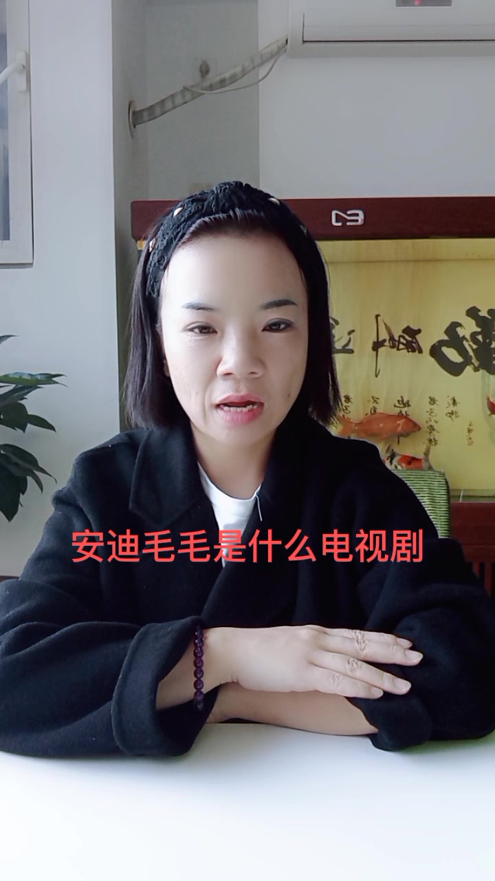 安迪毛毛是什么电视剧