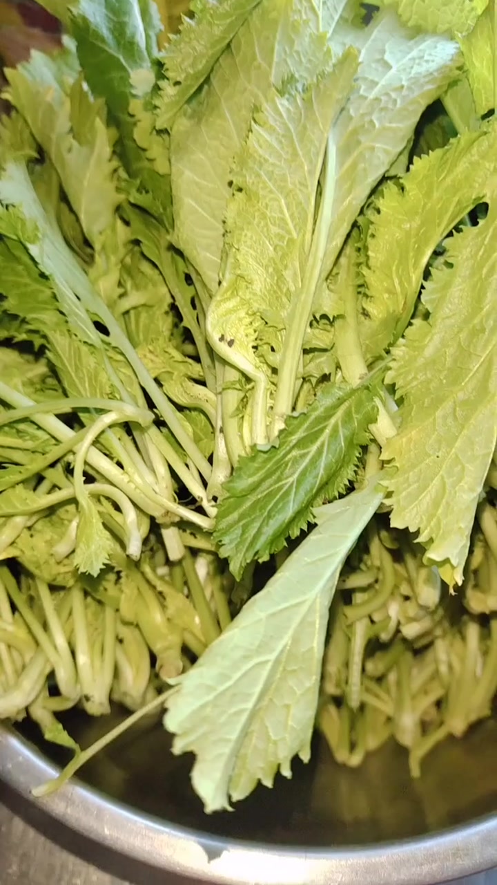 新鲜雪里红包饺子馅怎么做?