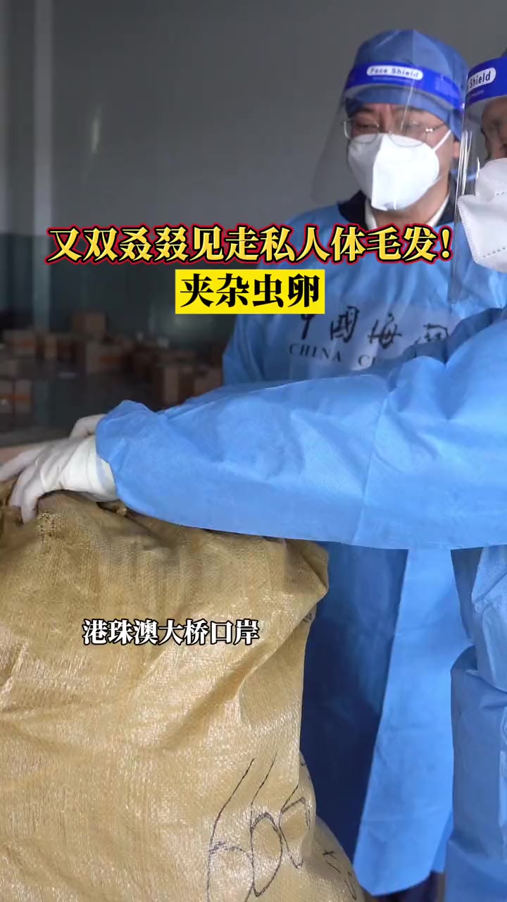 密恐慎点!海关查获120公斤人体毛发