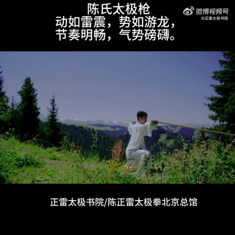 陈正雷太极拳北京总馆:陈氏太极枪动如雷震,势如游龙,节奏明畅,气势磅礴。太极拳 太极 陈正雷太极 陈式太极拳 #健康养生#太极陈氏太极拳 ...