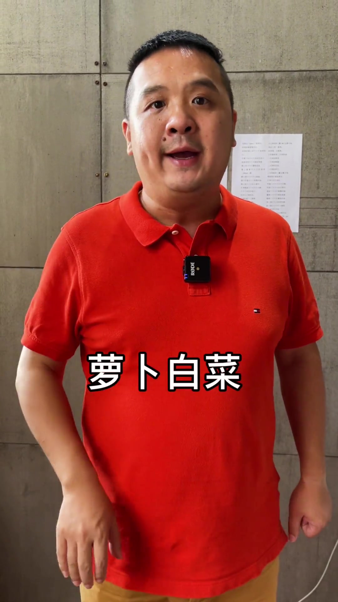 喜子工作室 武汉人 喜子来了